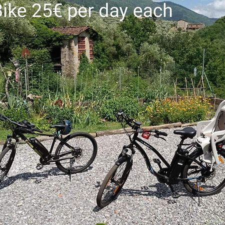 Pensjonat La Stanza Del Sole Matraia Zewnętrze zdjęcie